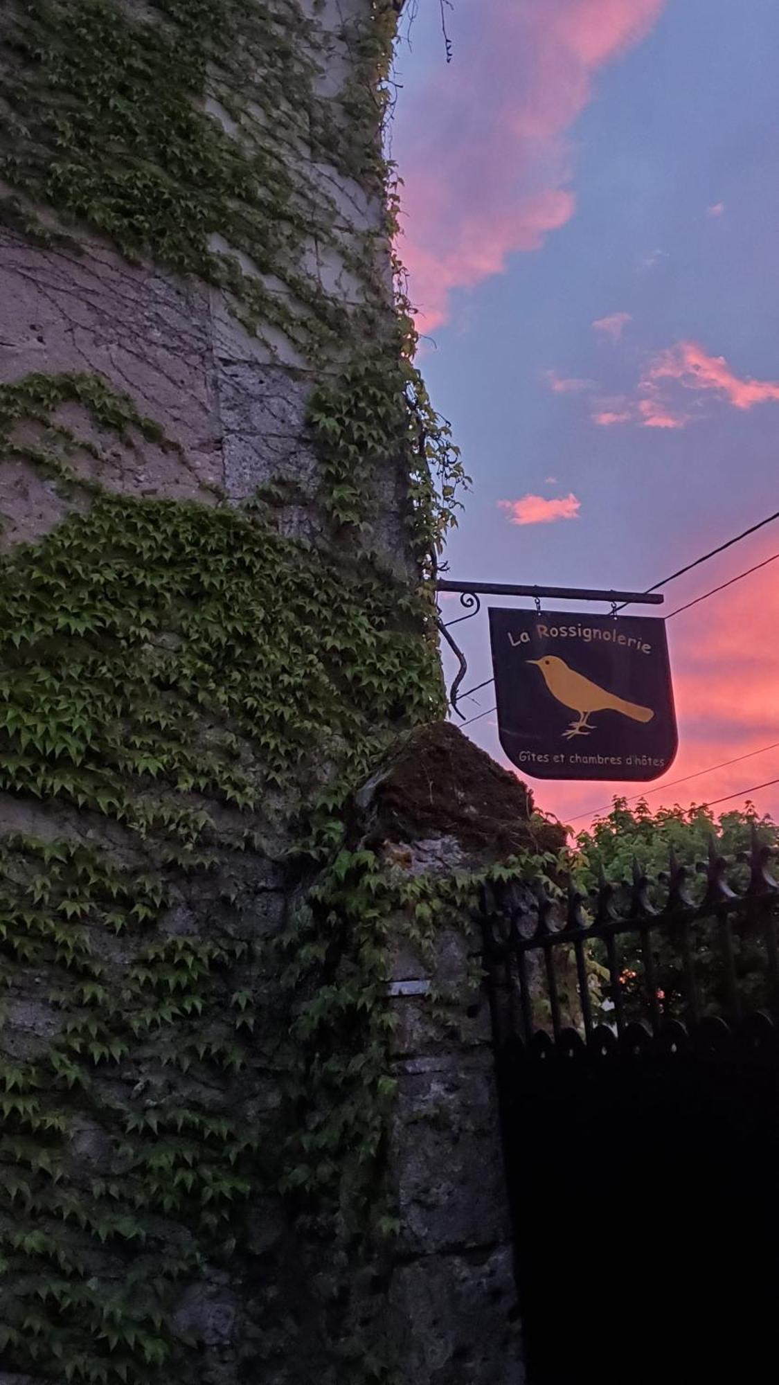 La Rossignolerie - La Familiale Vigneronne Panzió Chouzy-sur-Cisse Kültér fotó